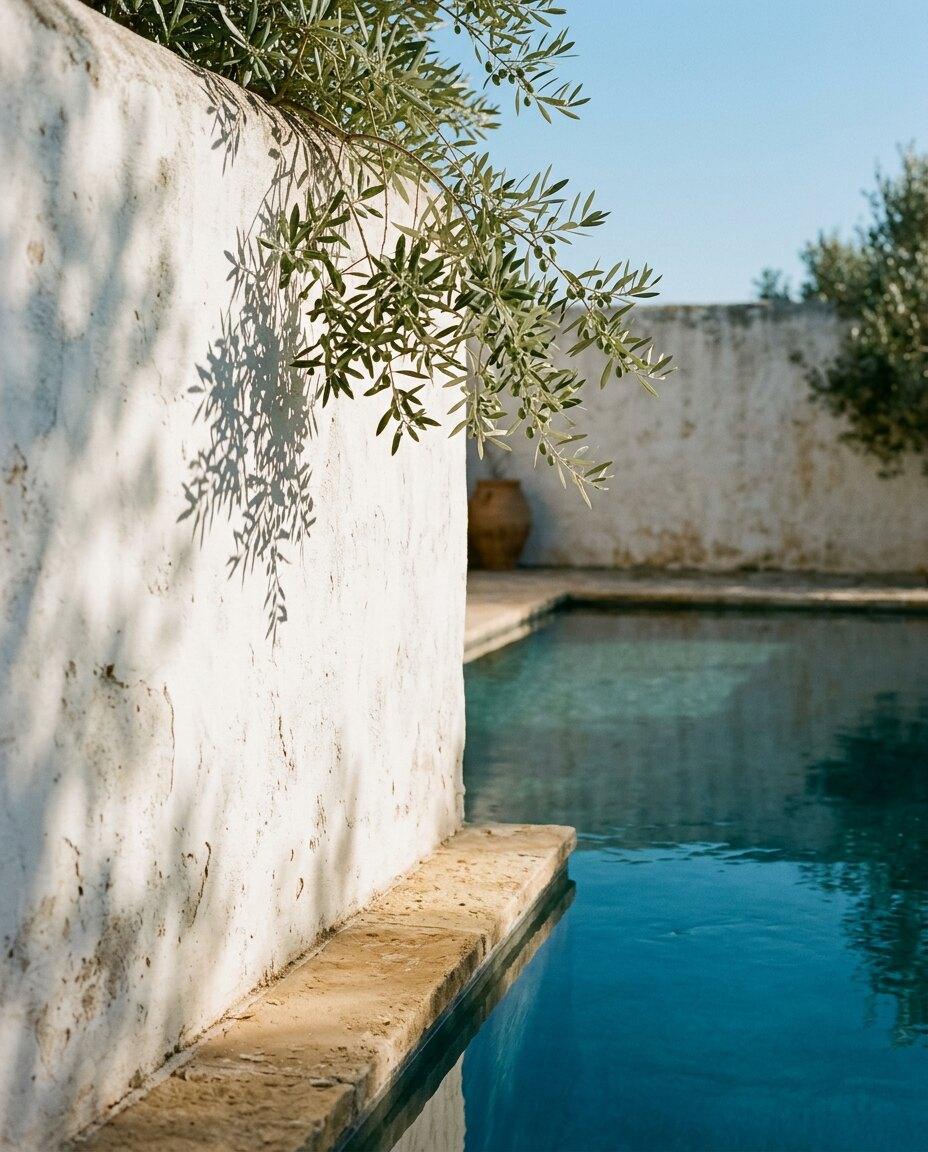 Shadow of an olive branch on a lime-washed wall beside still water